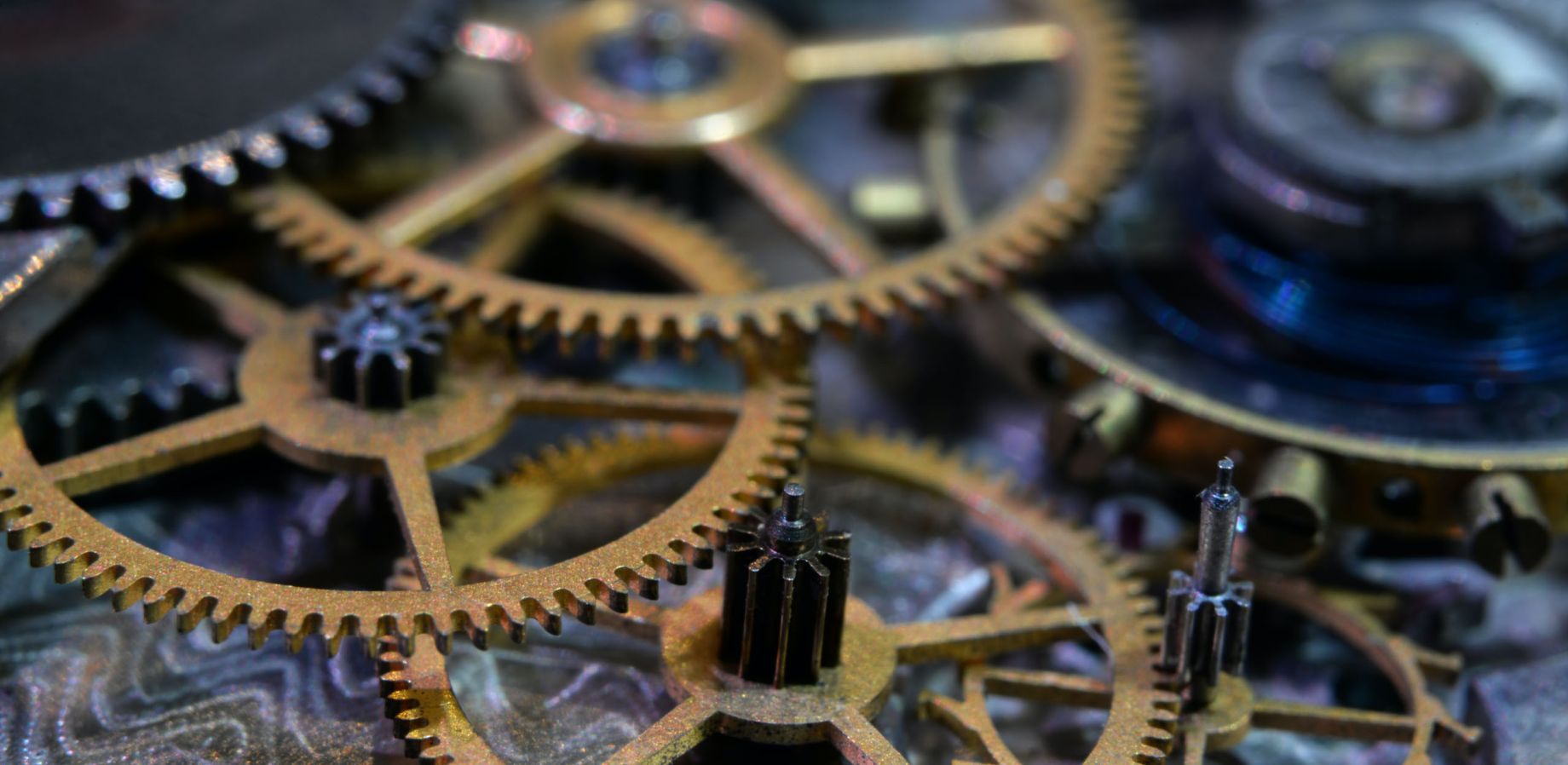 Release the Emotion and the Disease Disappears - Volume 7, Number 2