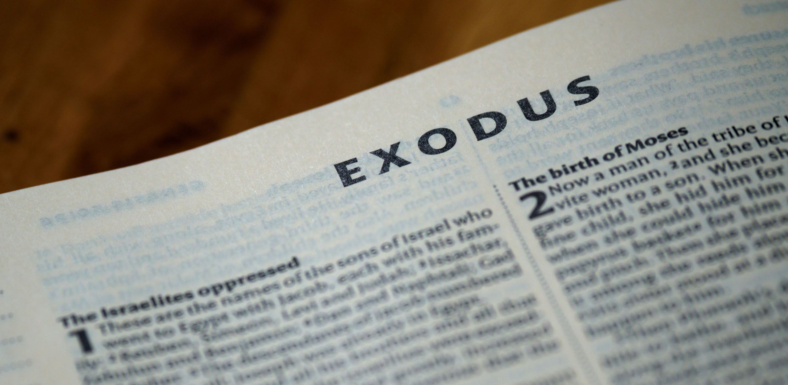 How God Protected the Israelites from Disease - Volume 8, Number 5