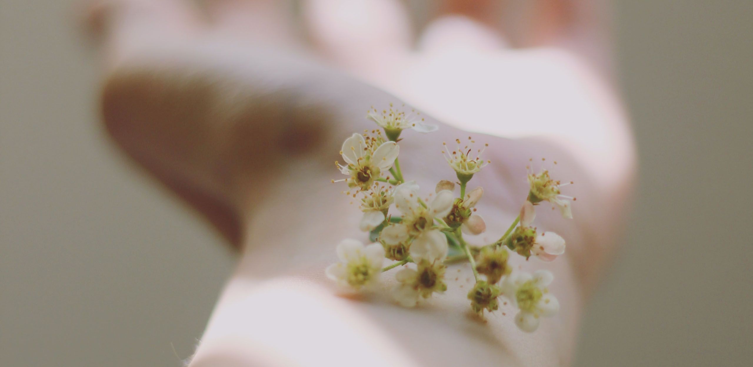 Sensitivities to Essential Oils - Volume 4, Number 1