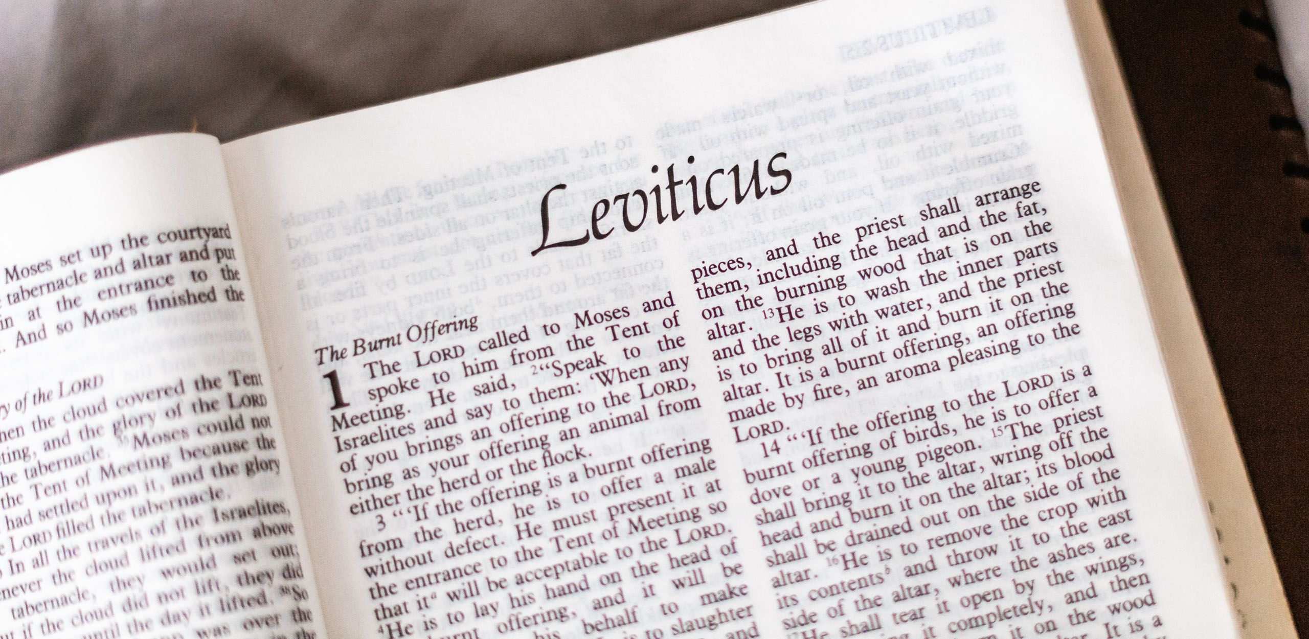 Biblical Remedies for House Mold and Ailments of the Skin - Volume 8, Number 4