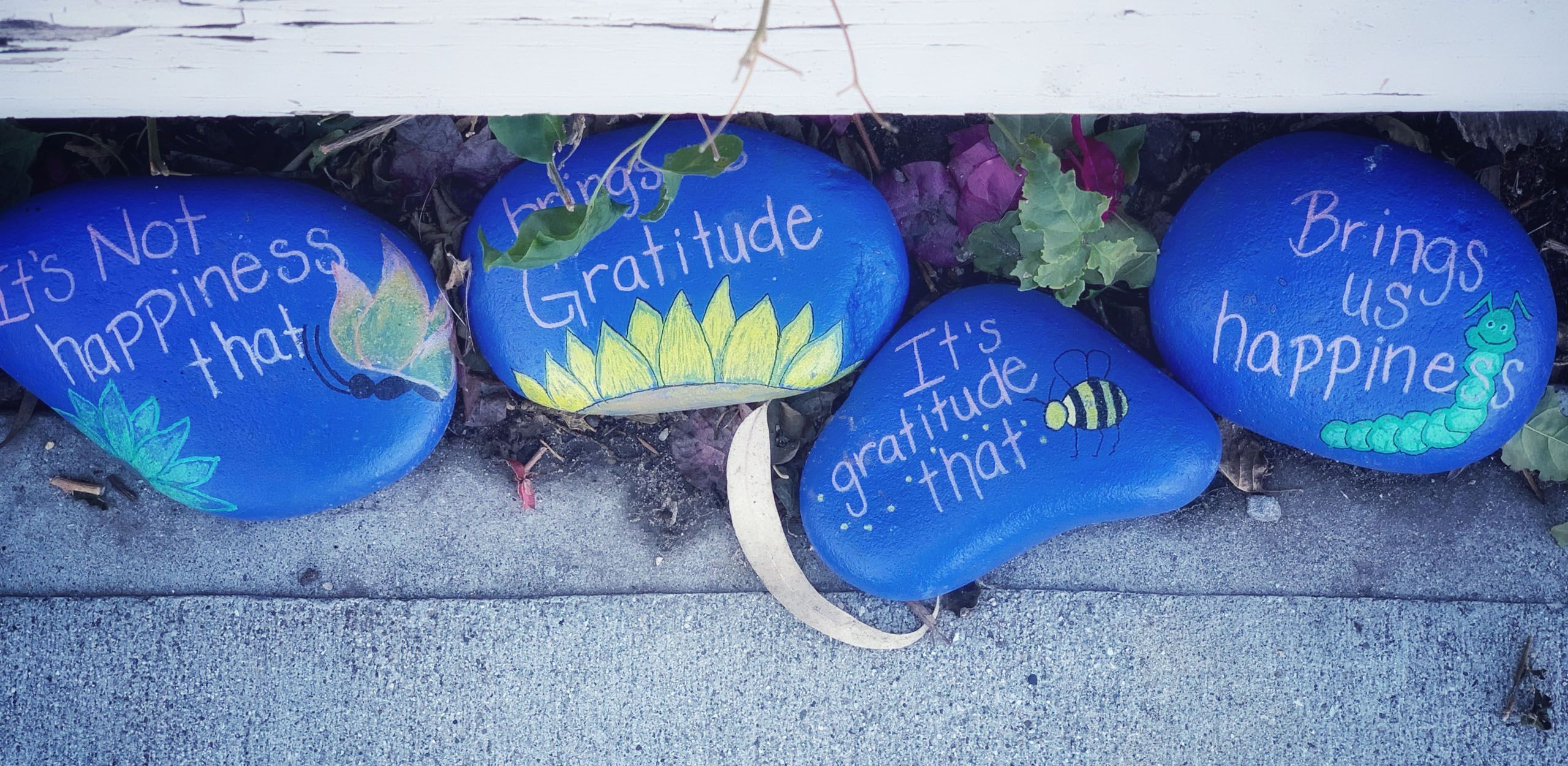 Developing Gratitude for All Around Success Raindrop Messenger November 2023 f1b460dd