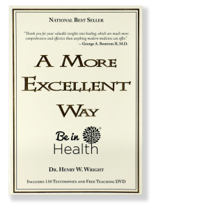 A More Excellent Way Fp2 1