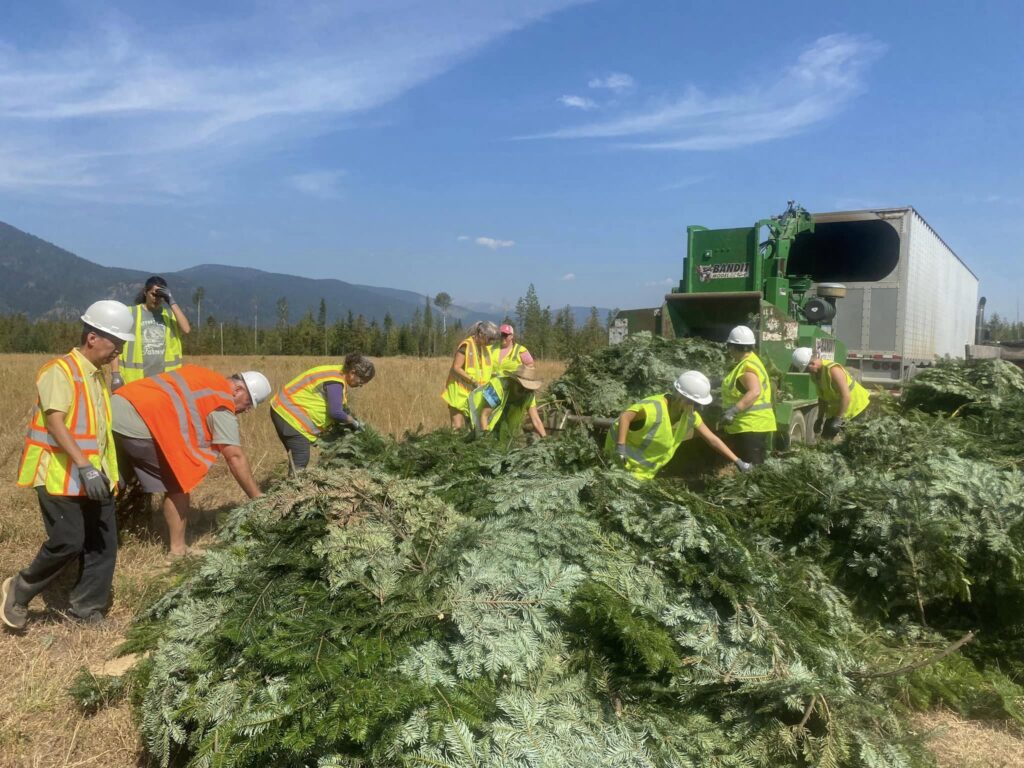 CARE Summit 2023 at Highland Flats Tree Farm -September 2023 7 05. CARE Instructors loading Grand Fir branches into the chipper