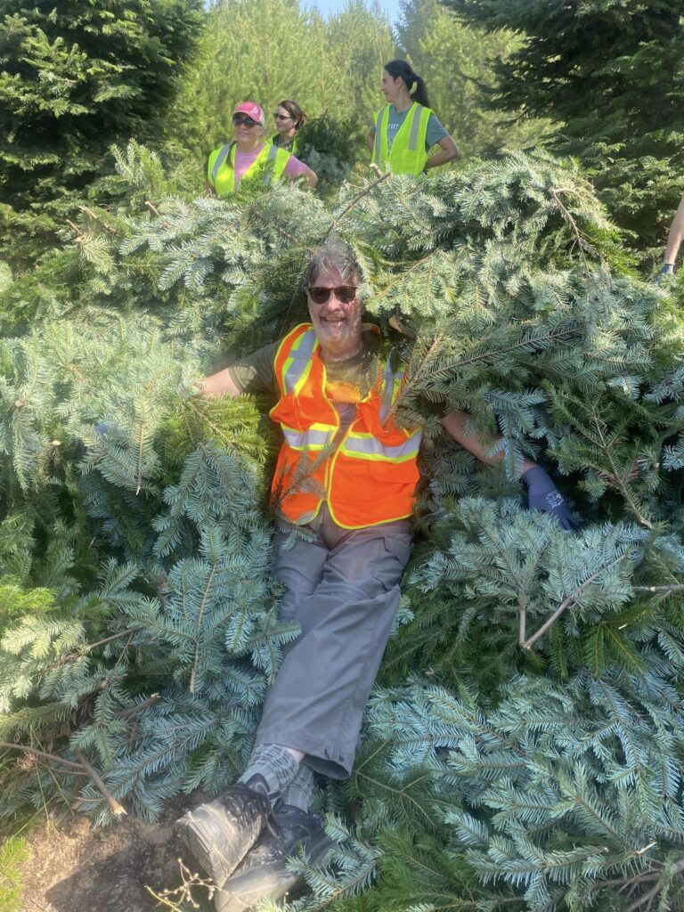 CARE Summit 2023 at Highland Flats Tree Farm -September 2023 11 11. Robert Teasdale laying on a comfy pile of Grand Fir