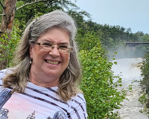 Evergreen Trees in Your Home 8 lora lee