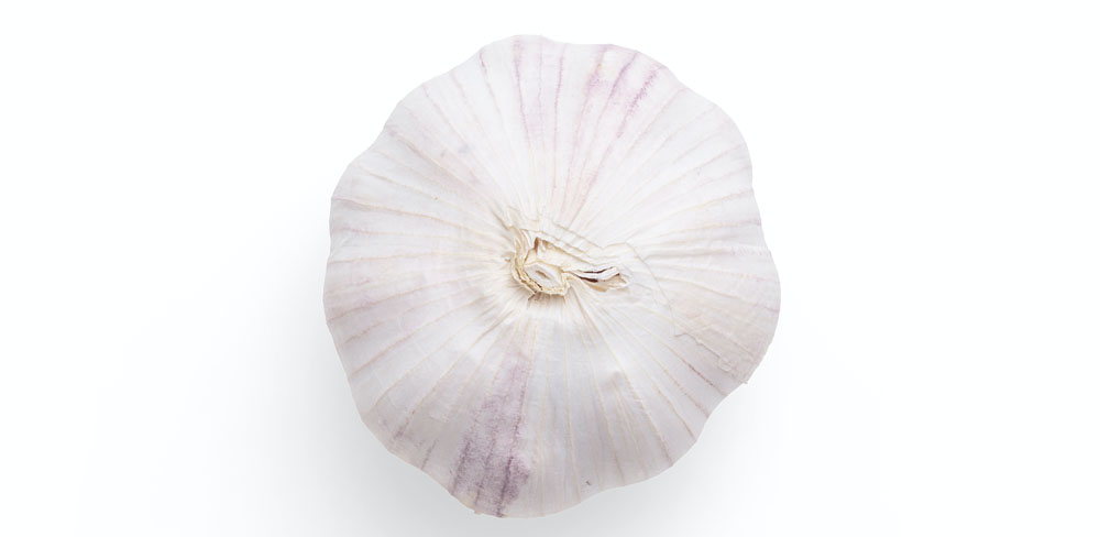 Developing Gratitude for All Around Success 7 Garlic Raindrop Messenger November 2023