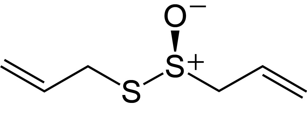 Developing Gratitude for All Around Success 8 R allicin 2D skeletal Raindrop Messenger November 2023