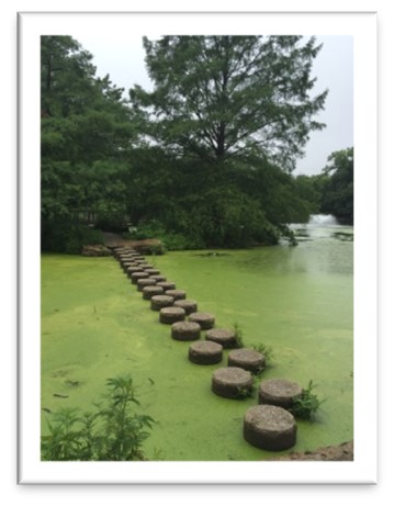 A Rose by Any Other Name 13 Picture3 Karen Birdsall FCCI LMT BCTMB