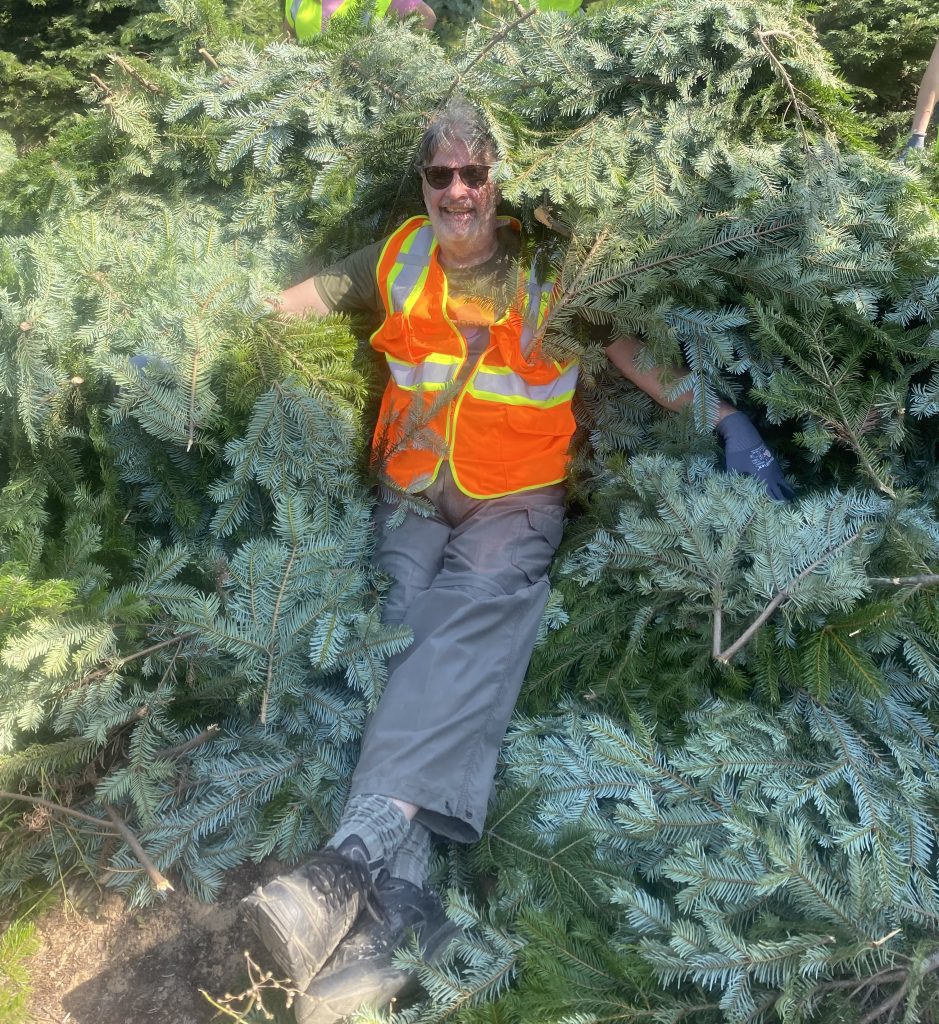 Evergreen Trees in Your Home 7 CARE Instructor Robert Teasdale, FCCI takes a rest from harvesting on a nice bed of Idaho grand fir boughs.